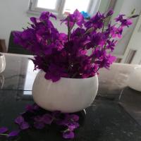  Küçük Mermer Saksı